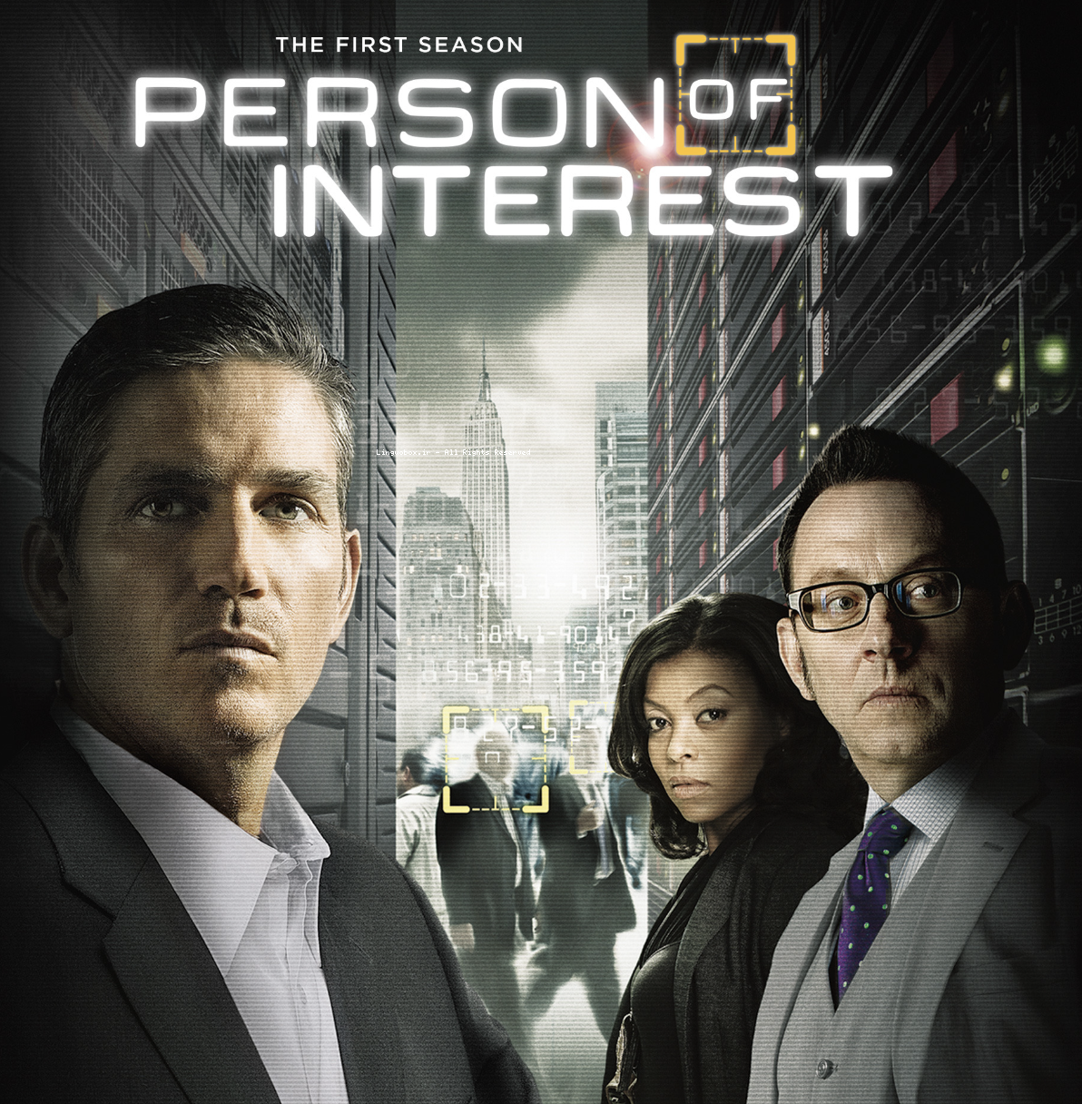 Person of Interest