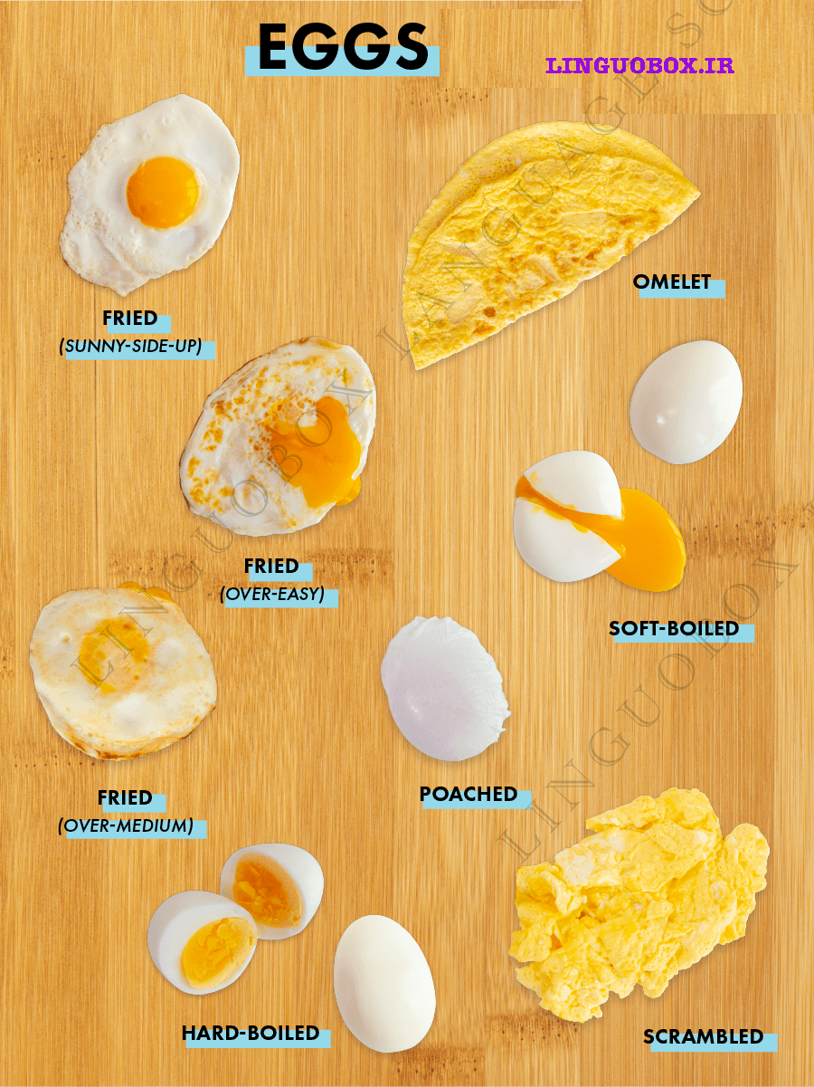 انواع تخم مرغ به انگلیسی